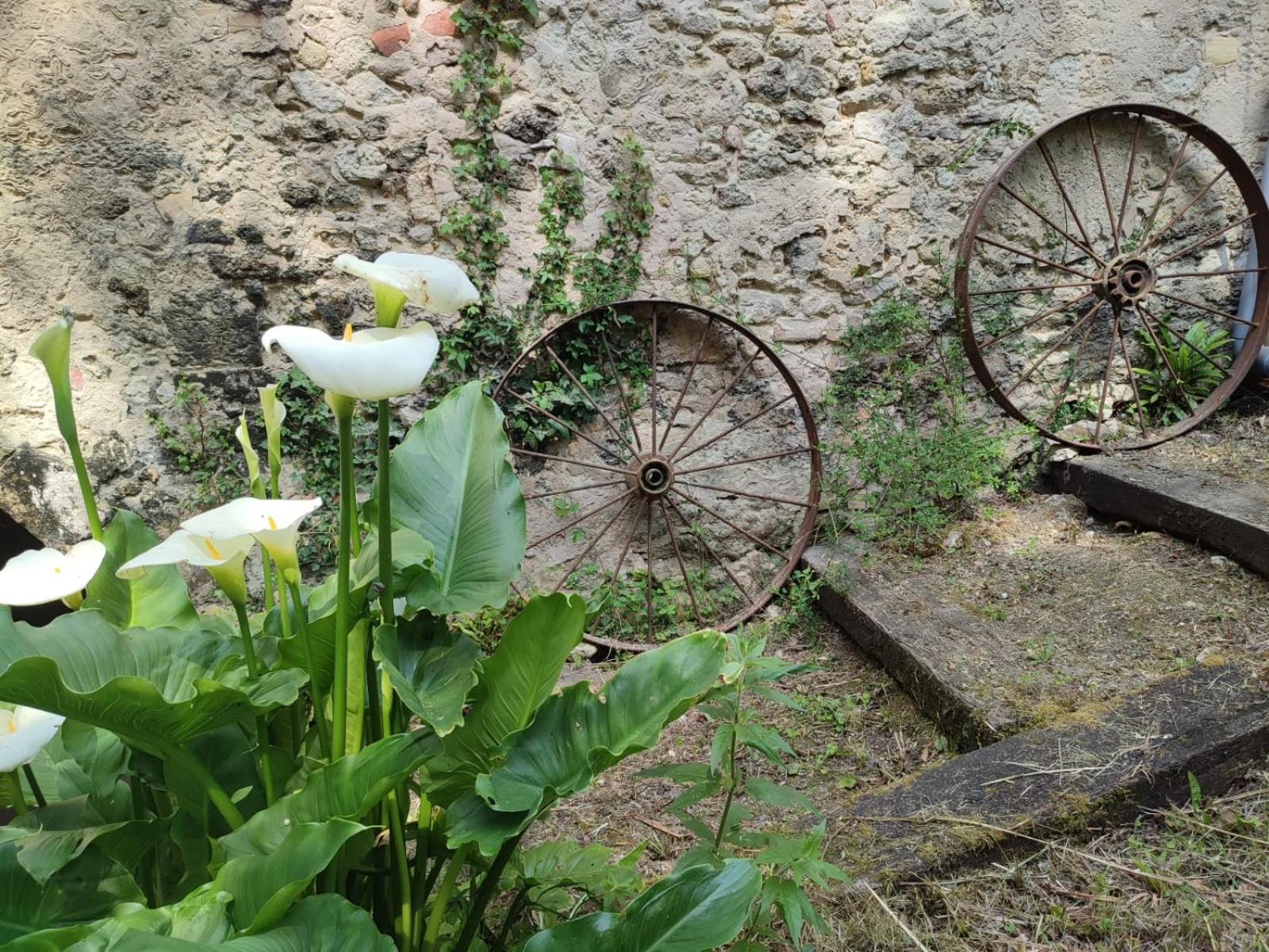 Chambre D'Hotes Le Moulin De Moulis Exteriér fotografie
